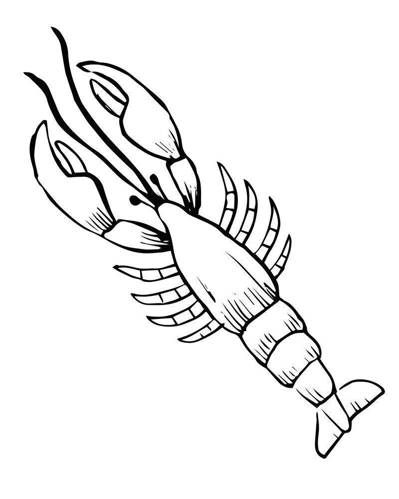 Free printable lobster coloring page animal coloring pages cute coloring pages coloring pages