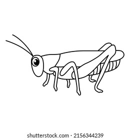 Grasshopper coloring stock photos and pictures