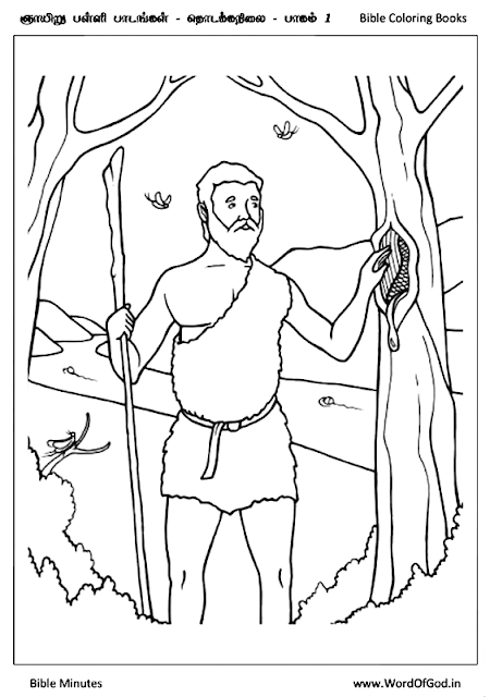 Color the bible john ate locust and honey