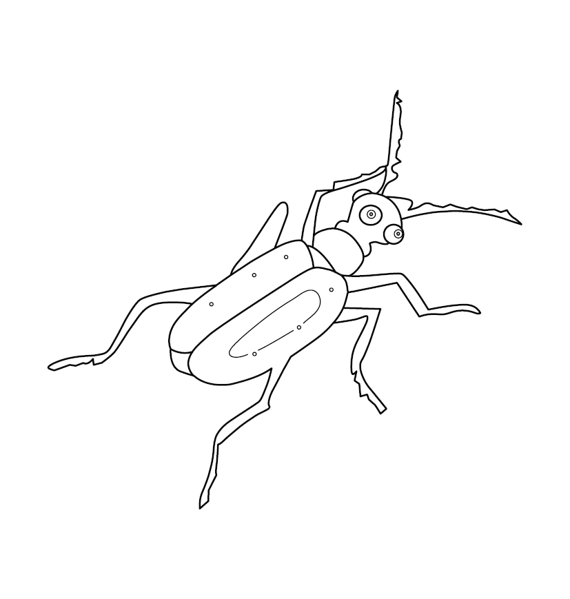 Locust colouring picture free colouring book for children â monkey pen store