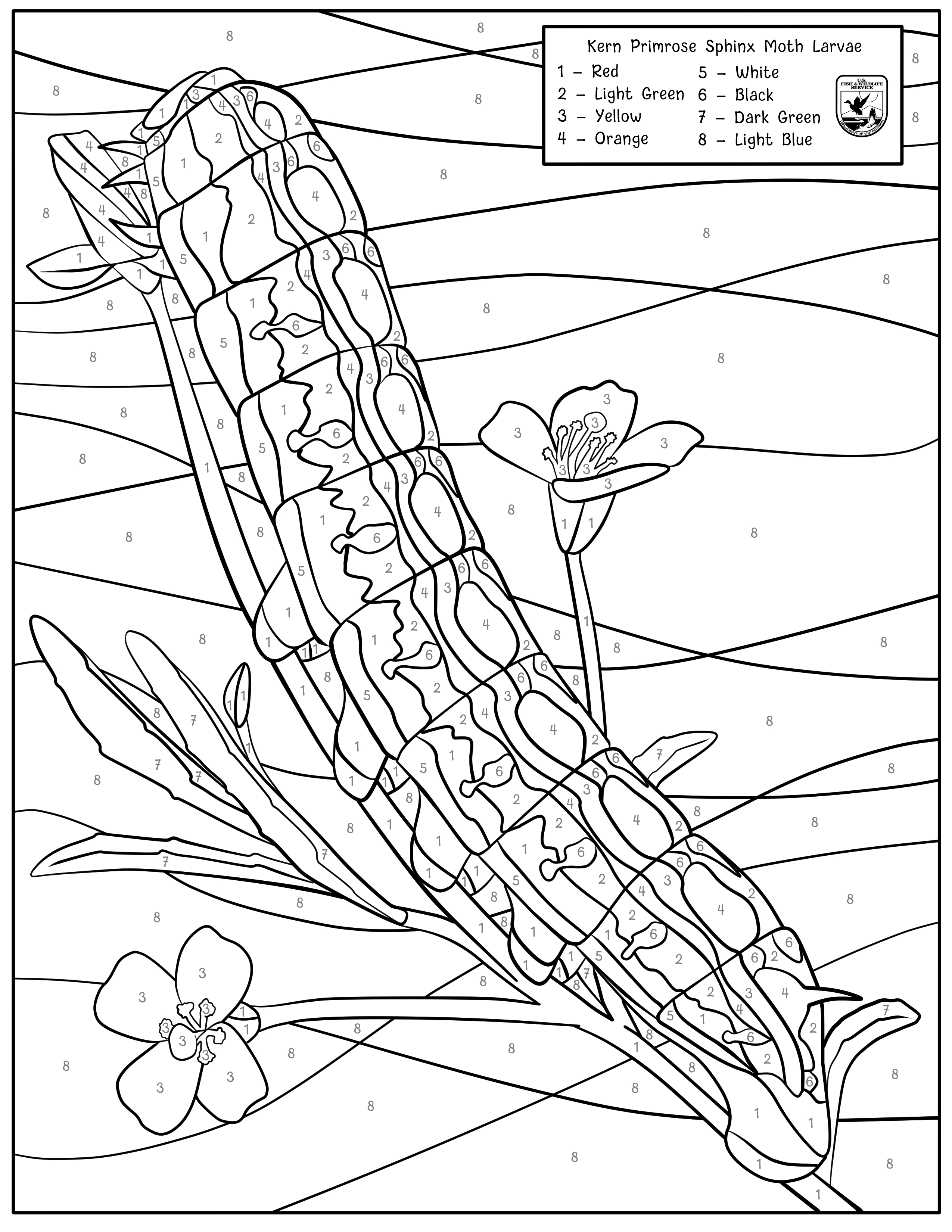 Color a california pollinator us fish wildlife service