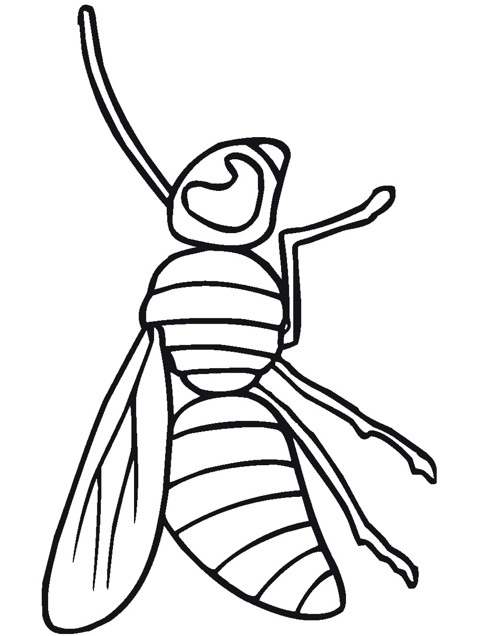 Bug insect coloring pages