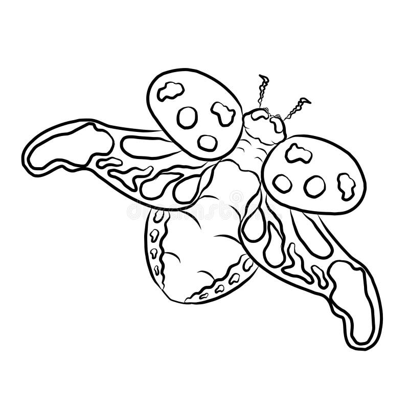 Locust coloring stock illustrations â locust coloring stock illustrations vectors clipart