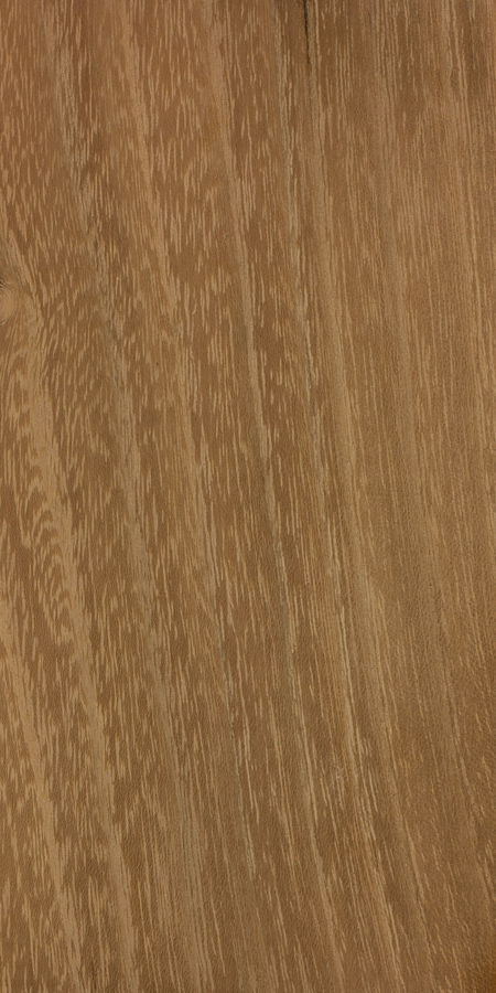 Black locust the wood database hardwood