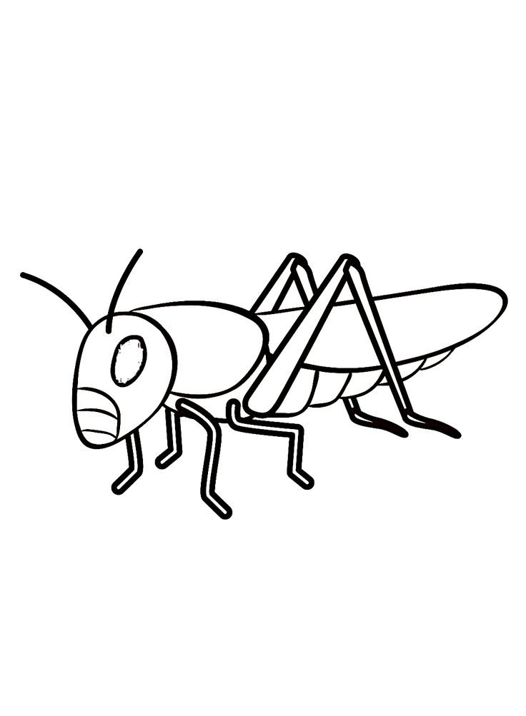 Locust coloring pages