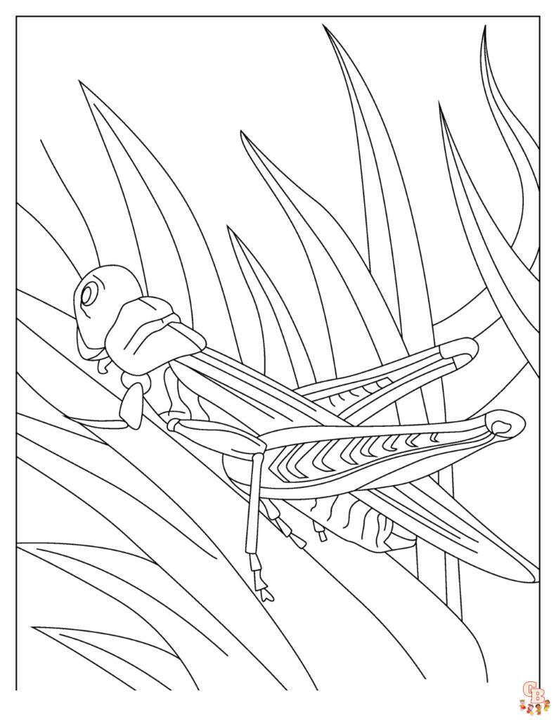 Beautiful grasshopper coloring pages for kids