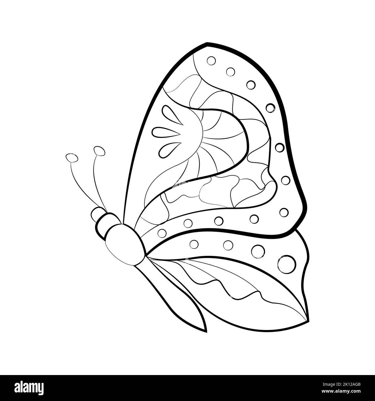 Insects illustration black and white stock photos images