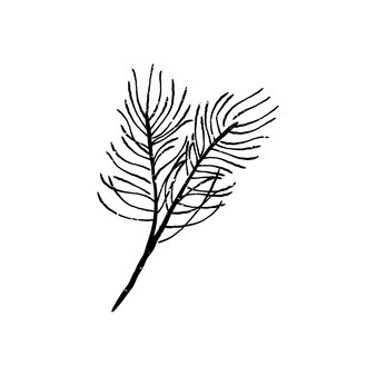 Page black locust tree images
