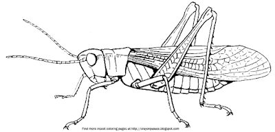 Crayon palace grasshopper coloring page