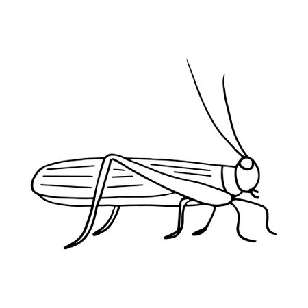 Continuous line insect stock photos and images
