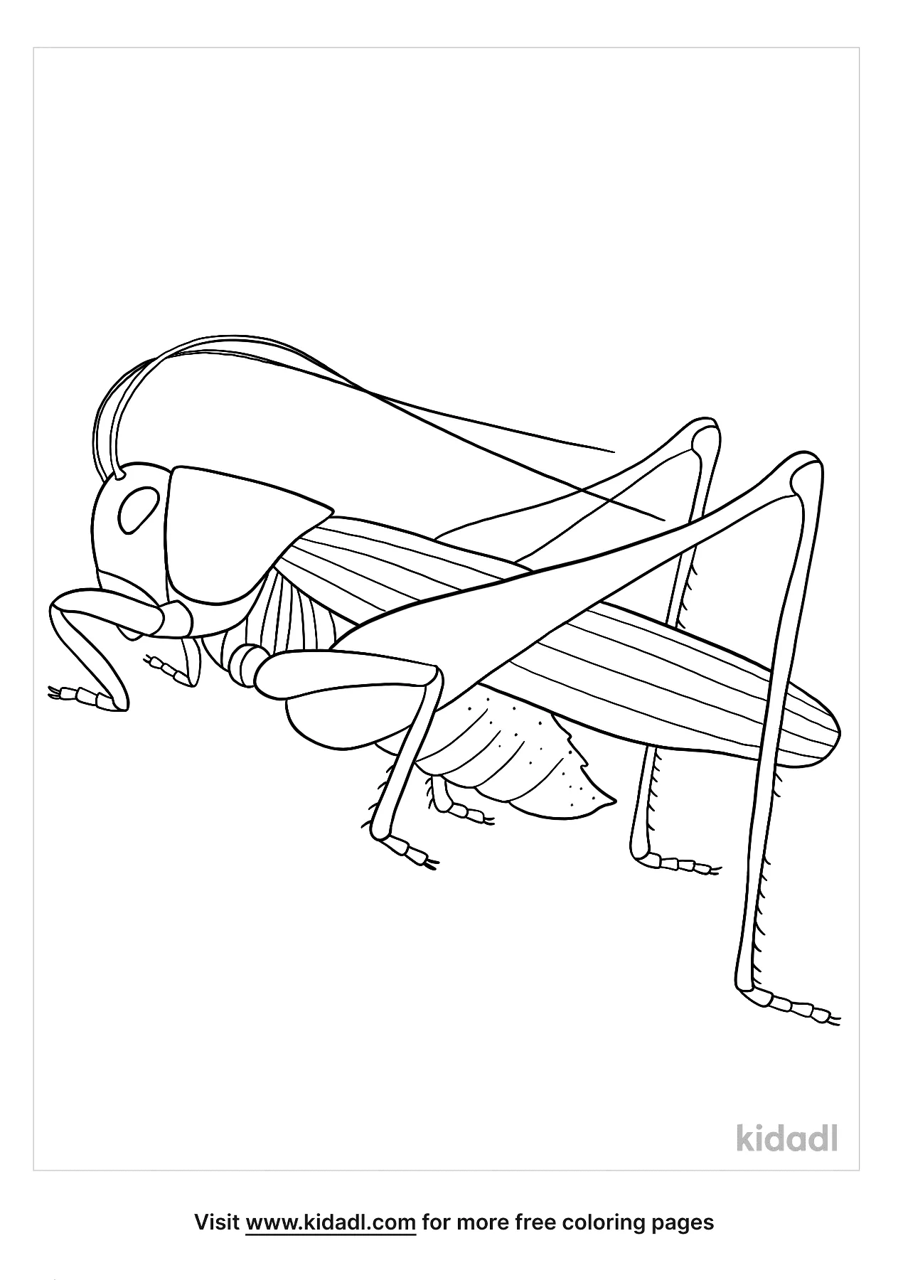 Free locust coloring page coloring page printables