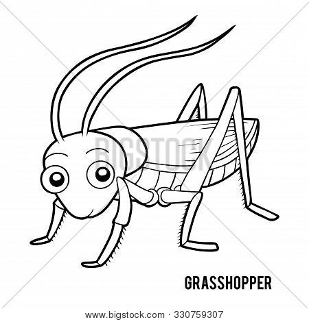 Coloring book vector photo free trial bigstock