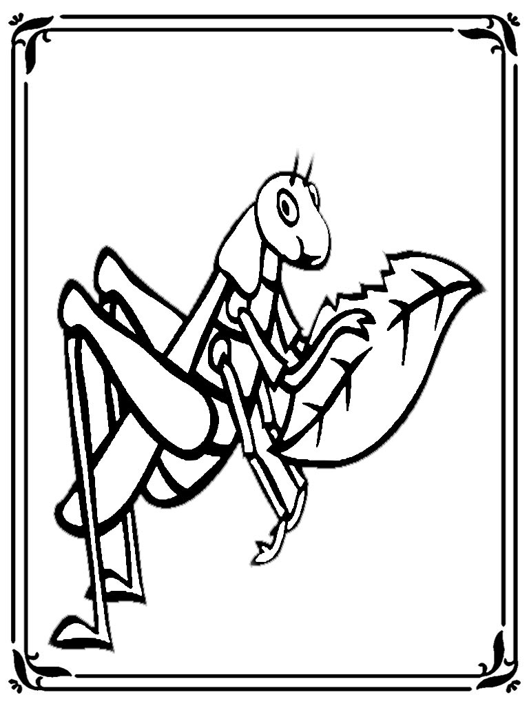 Printable locust coloring pages realistic coloring pages