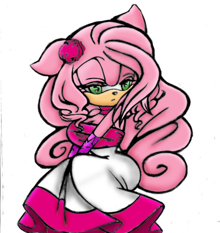 Sonic heroes amy rose knuckles the echidna shadow the hedgehog png clipart amy rose art artwork