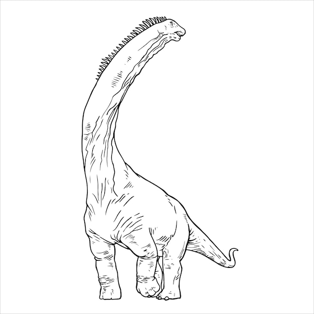 Premium vector brachiosaurus line art dinosaur coloring page brachiosaurus black and white