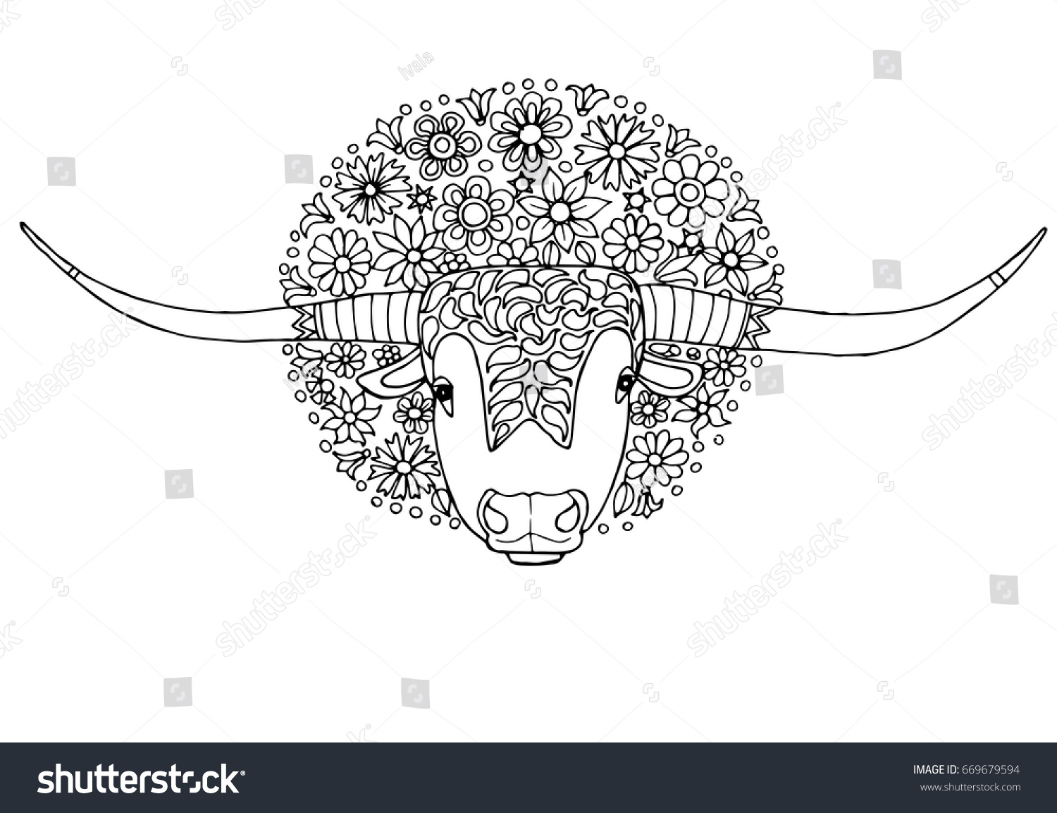 Texas longhorn cattle flowers page adult stock vector royalty free