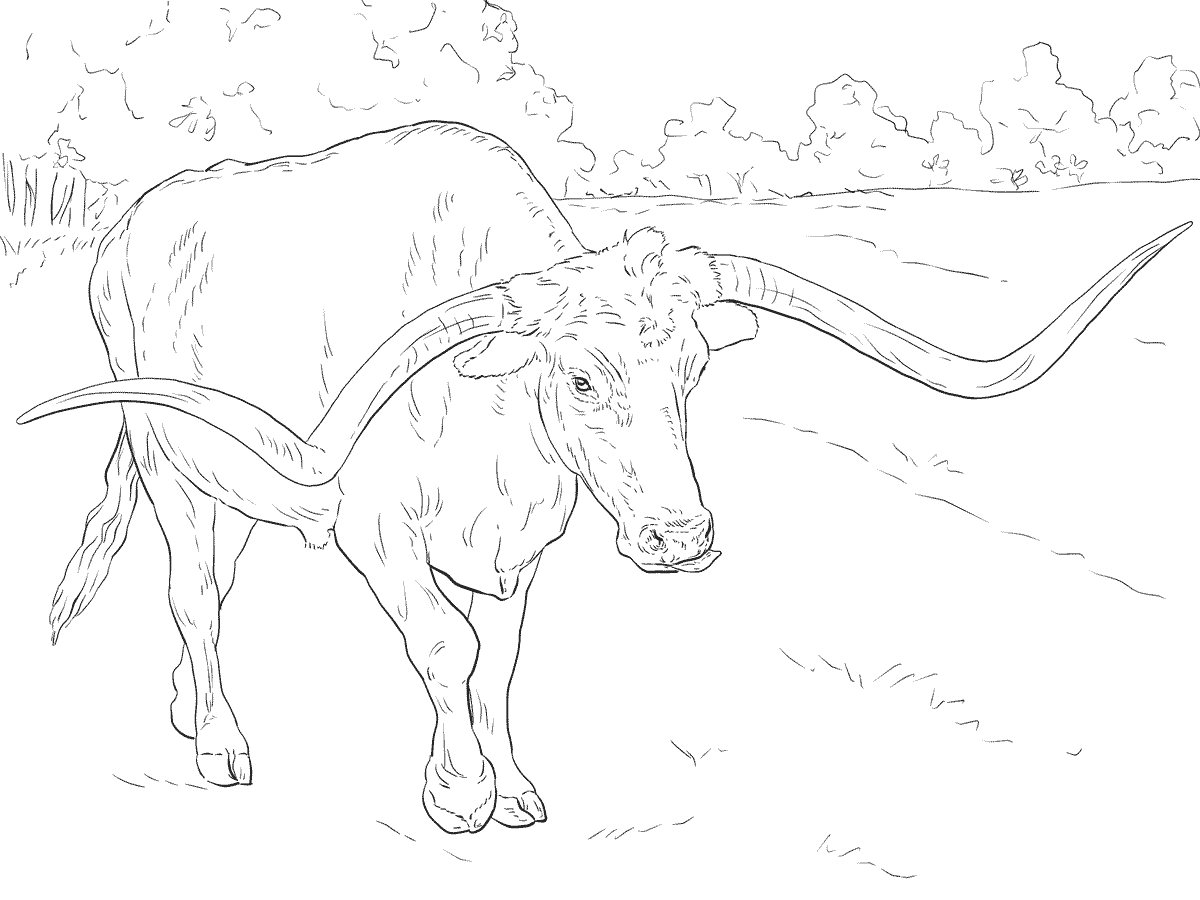 Realistic animal coloring pages printable for free download