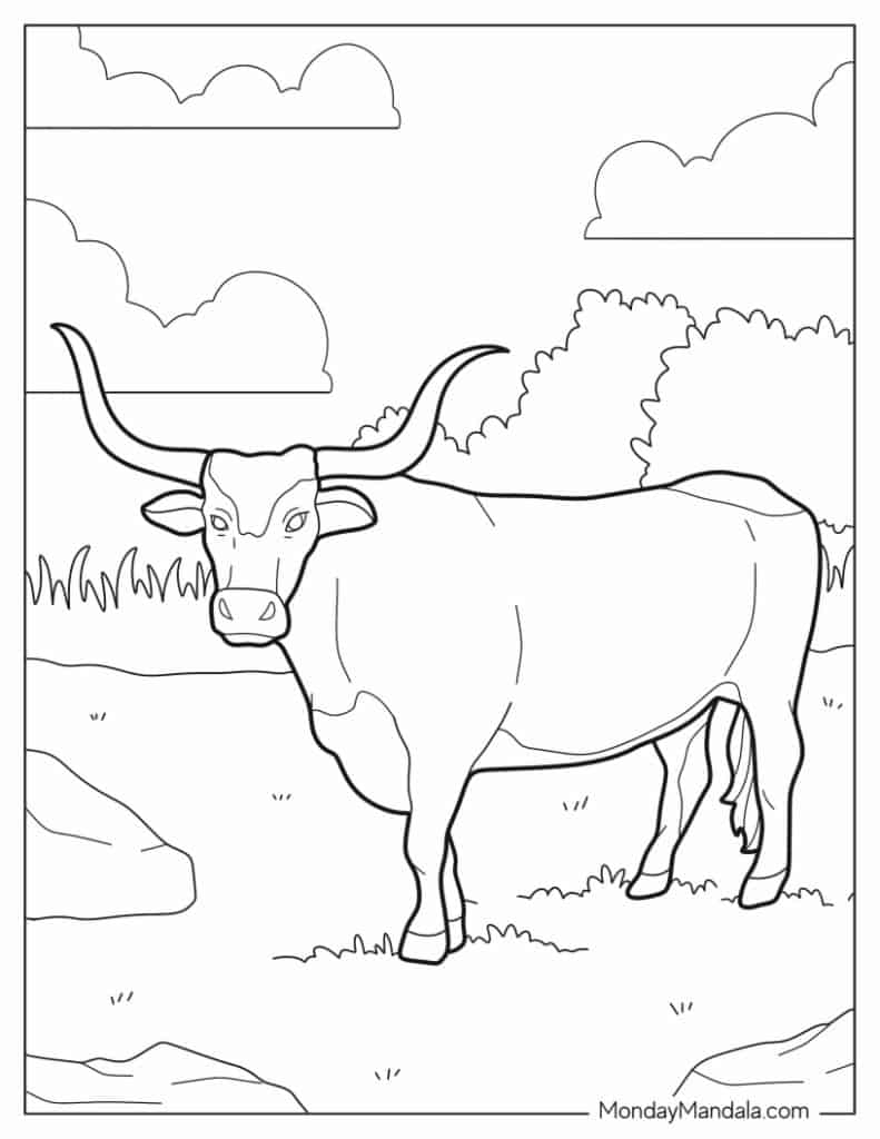 Bull coloring pages free pdf printables