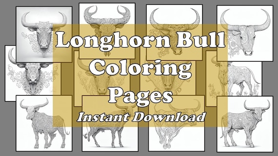Pack stress relief coloring pages longhorn digital print