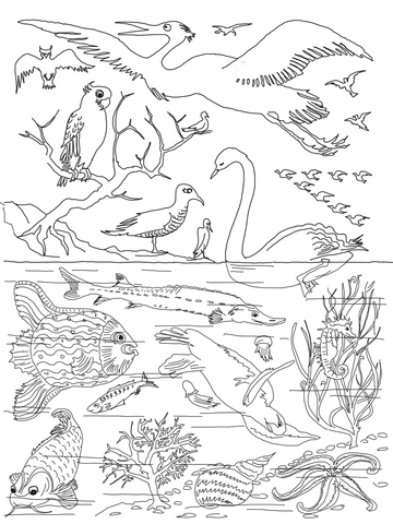 Th day of creation coloring page free printable coloring pages