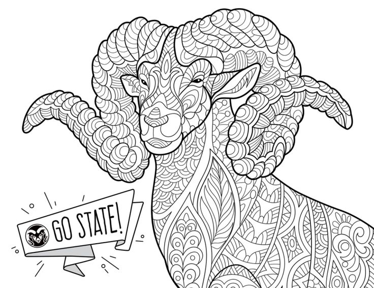 Cam the ram coloring page perfect for a study break coloring pages adult coloring pages los angeles rams logo