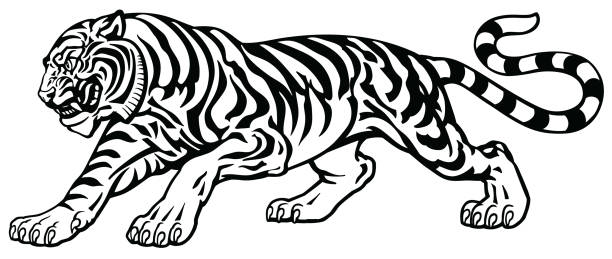 Ilustraciãn de tatuaje de tigre enojado y mãs vectores libres de derechos de tigre