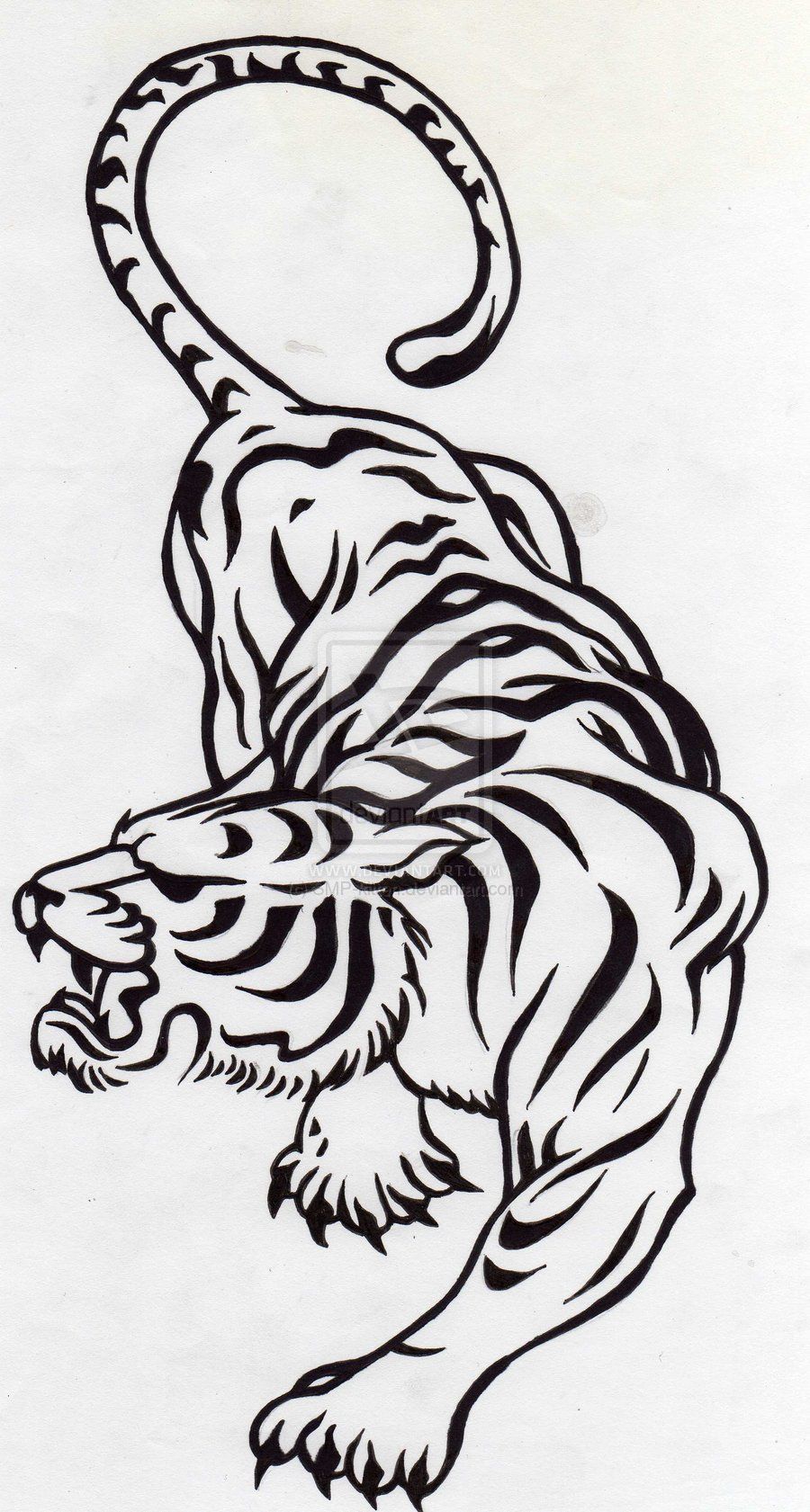 Pin on tigre