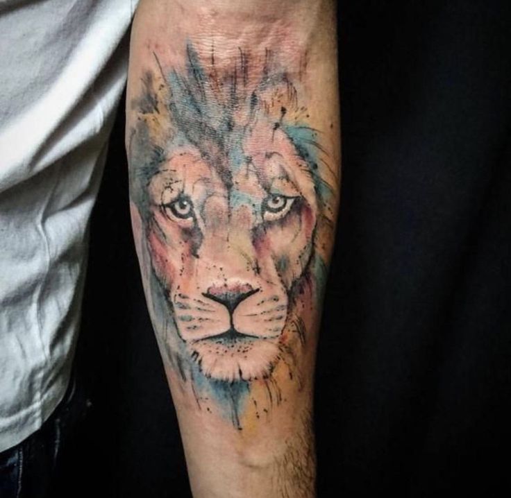 Pin by diego alejandro tattoo on tigres leones y panteras tattoo lion tattoo design watercolor lion tattoo lion tattoo