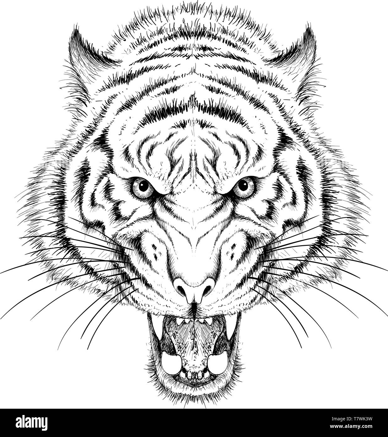 Tiger tattoo imãgen de stock en blanco y negro