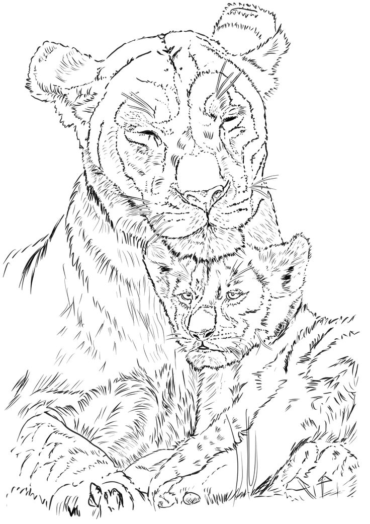 Pin by andreea burbulea on animali lion tattoo sleev big cat tattoo lion sketch