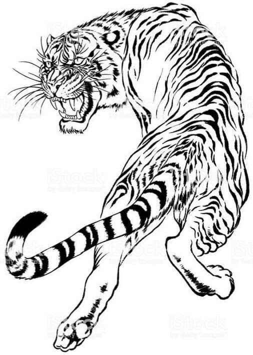 Cute tiger coloring page tiger tattoo design japanese tiger tattoo tiger tattoo
