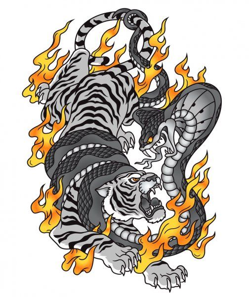 Tatuaje de tigre vs serpiente fotos ilustraciones y arte vectorial depositâ tatuagem de graficos tatuagens femininas no abdomem tatuagem nas costas masculina