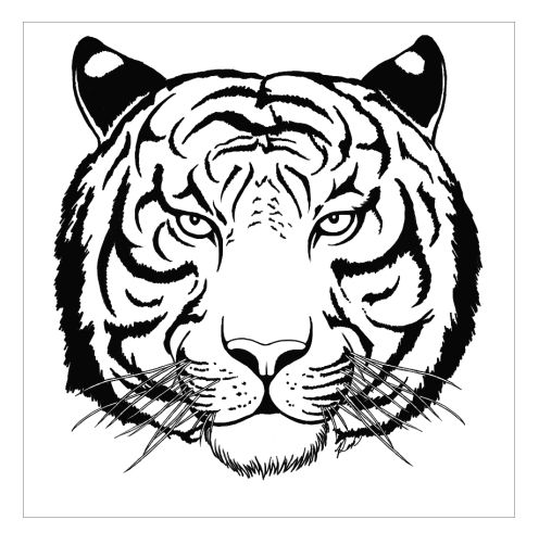 Whitetigertattoobydiabla