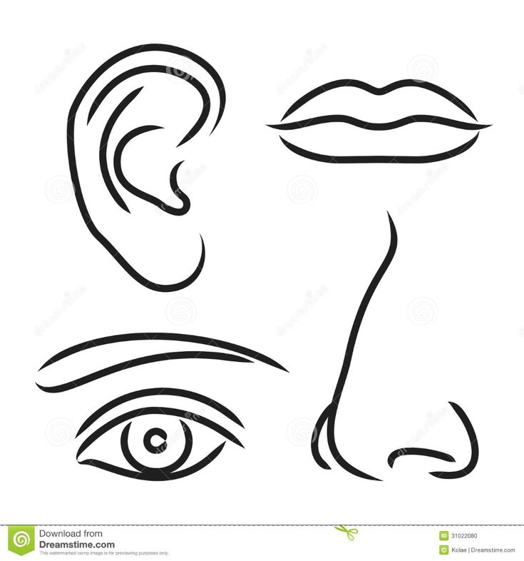 Vector illustration nose ear mouth and eye stock vector