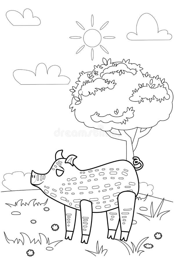 Pig colouring page stock illustrations â pig colouring page stock illustrations vectors clipart