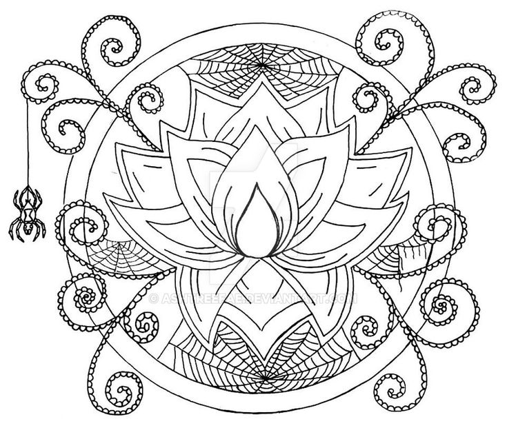 Spider lotus color page color colorful drawings colouring pages