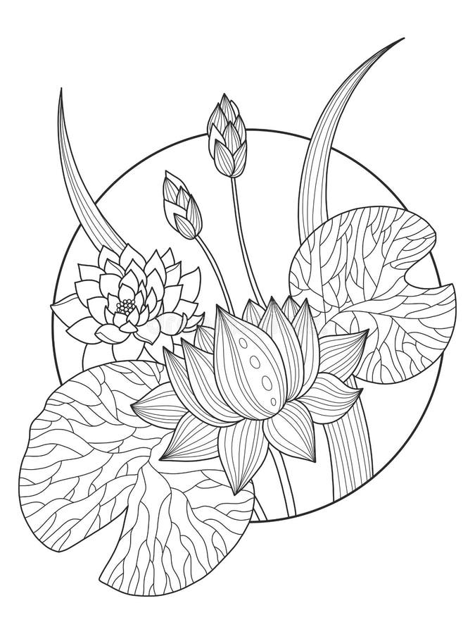 Lotus flower coloring book vector illustration stock vector