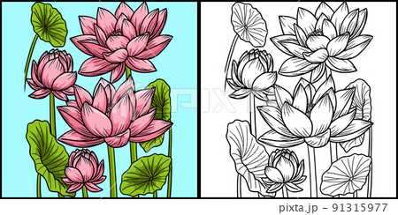 Lotus flower coloring page colored illustration