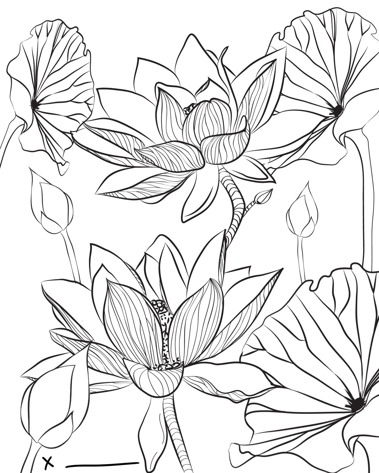 Lotus coloring page by bluelotusstudio on