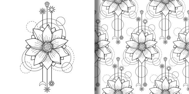 Lotus flower top view stock illustrations royalty