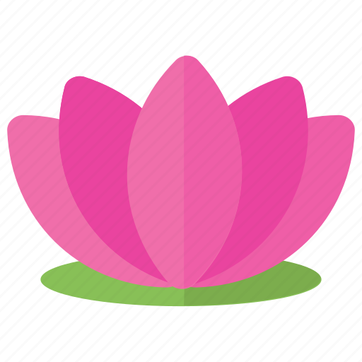 Lotus flower lotus logo purple lotus spa flower water lily icon