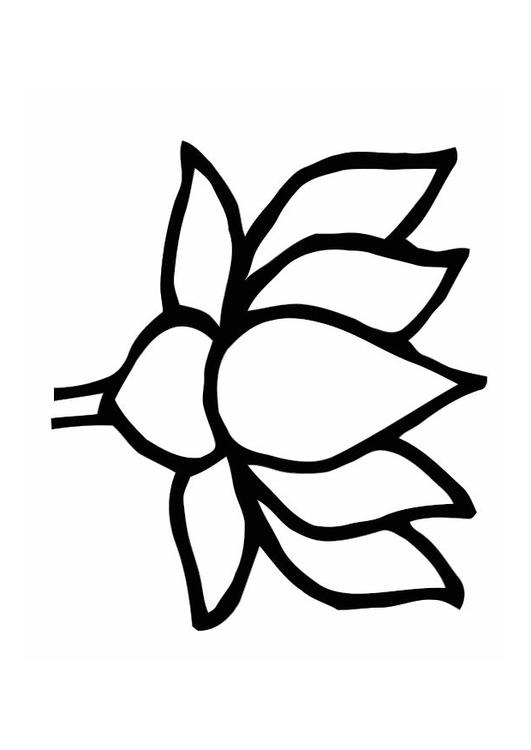 Coloring page lotus