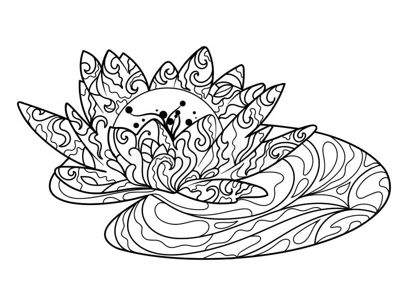 Lotus flower coloring book for adults vector stock vector