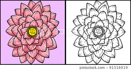 Lotus flower coloring page colored illustration