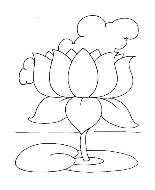 Free printable lotus coloring pages for kids lotus drawing lotus flower drawing flower drawing for kids