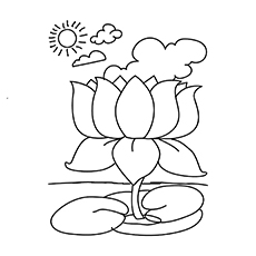 Top free printable flowers coloring pages online