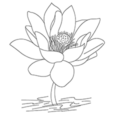 Top free printable india coloring pages online