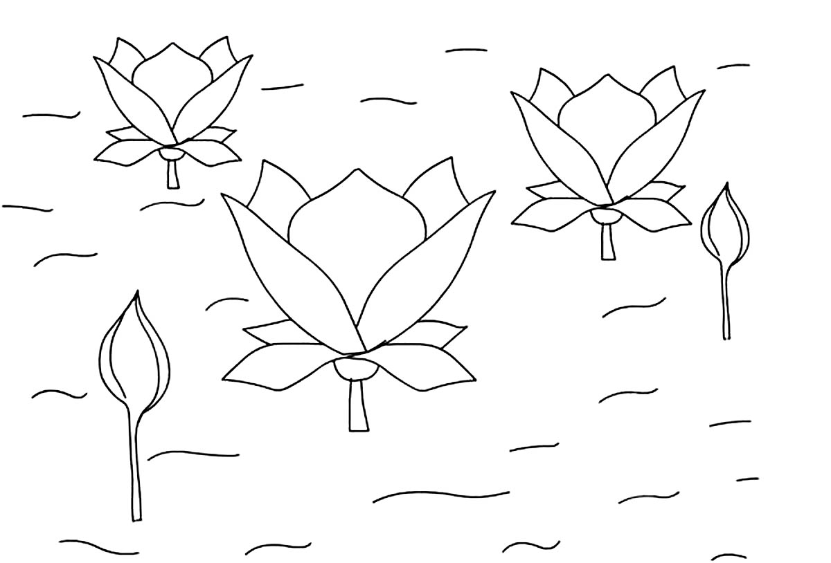 Free printable lotus coloring pages for kids