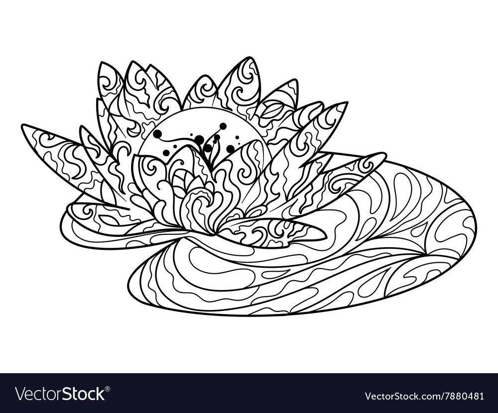 Lotus flower coloring book for adults royalty free vector