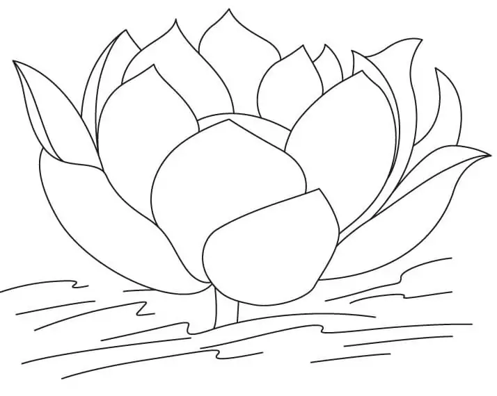 Lovely lotus coloring page